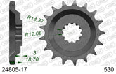 Pignone AFAM 24805-17 passo 530 KAWASAKI ZX 10 ZX 1000 1988  -1990